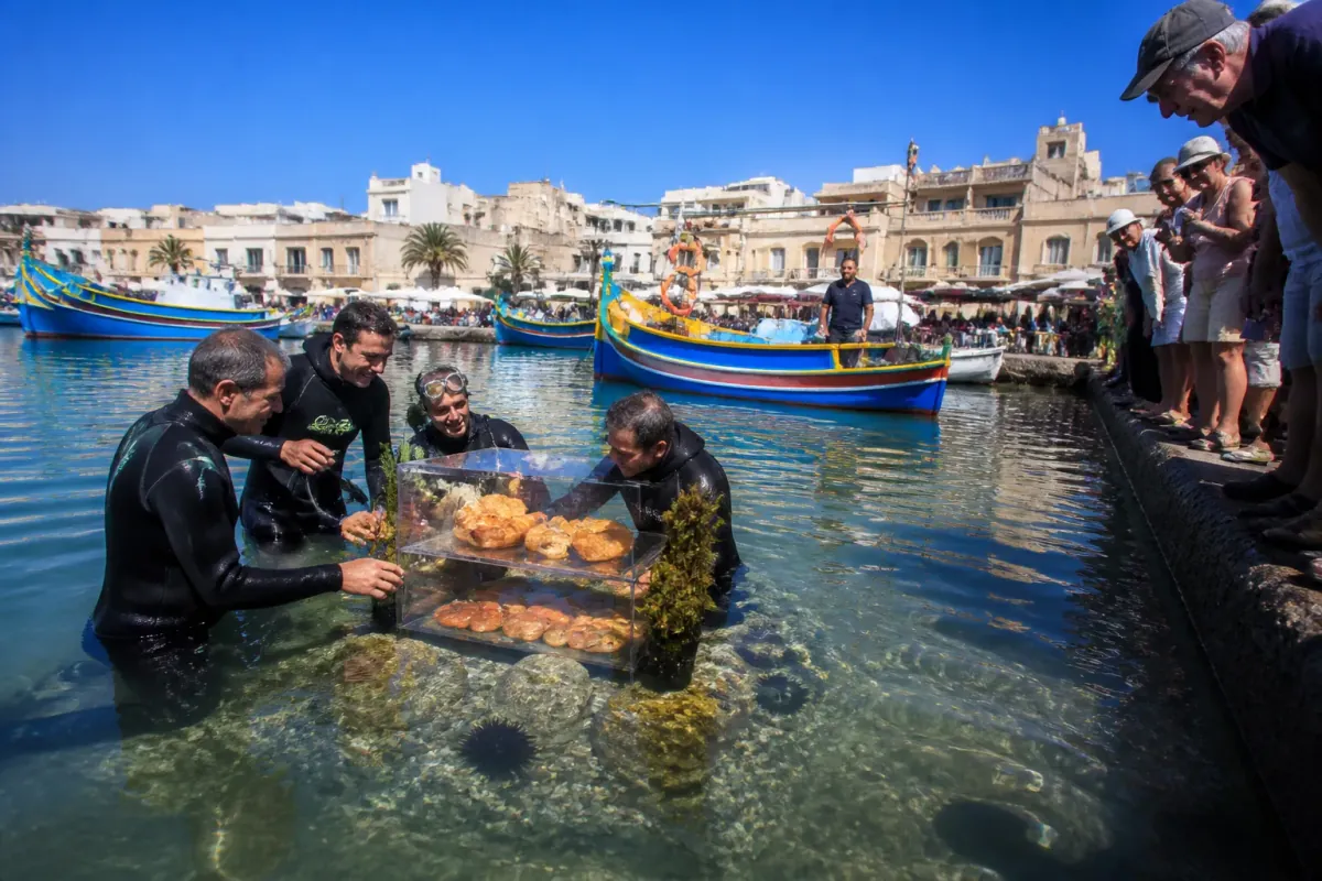 Local Fishermen Plan World’s First Underwater Pastizzi Shop, Say Cheese Will Outsell Azure Window