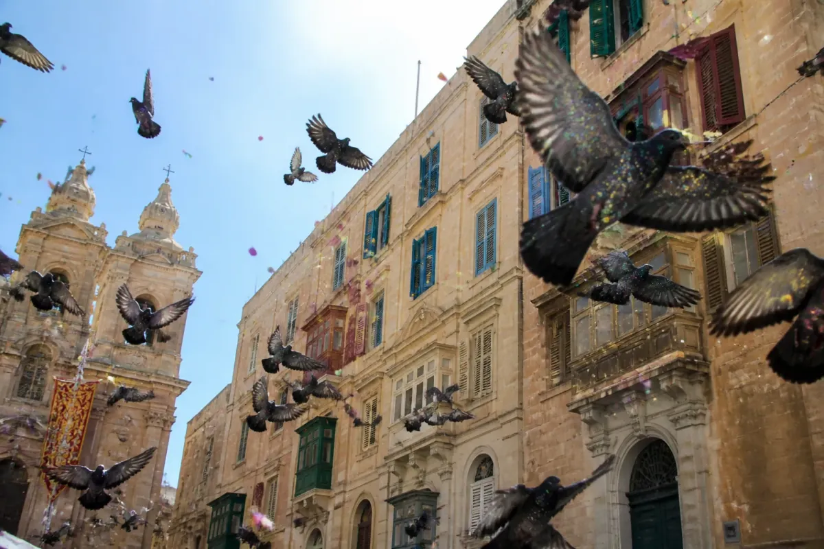 Maltese Government to Genetically Engineer Pigeons to Produce Glitter for Not-So-Silent-Prayer Festival
