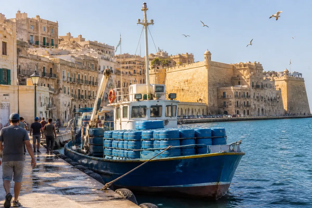 Maltese Government Requires Ferries to Transport 200,000 Liters of Seawater to 'Calm' Great Salted Fish