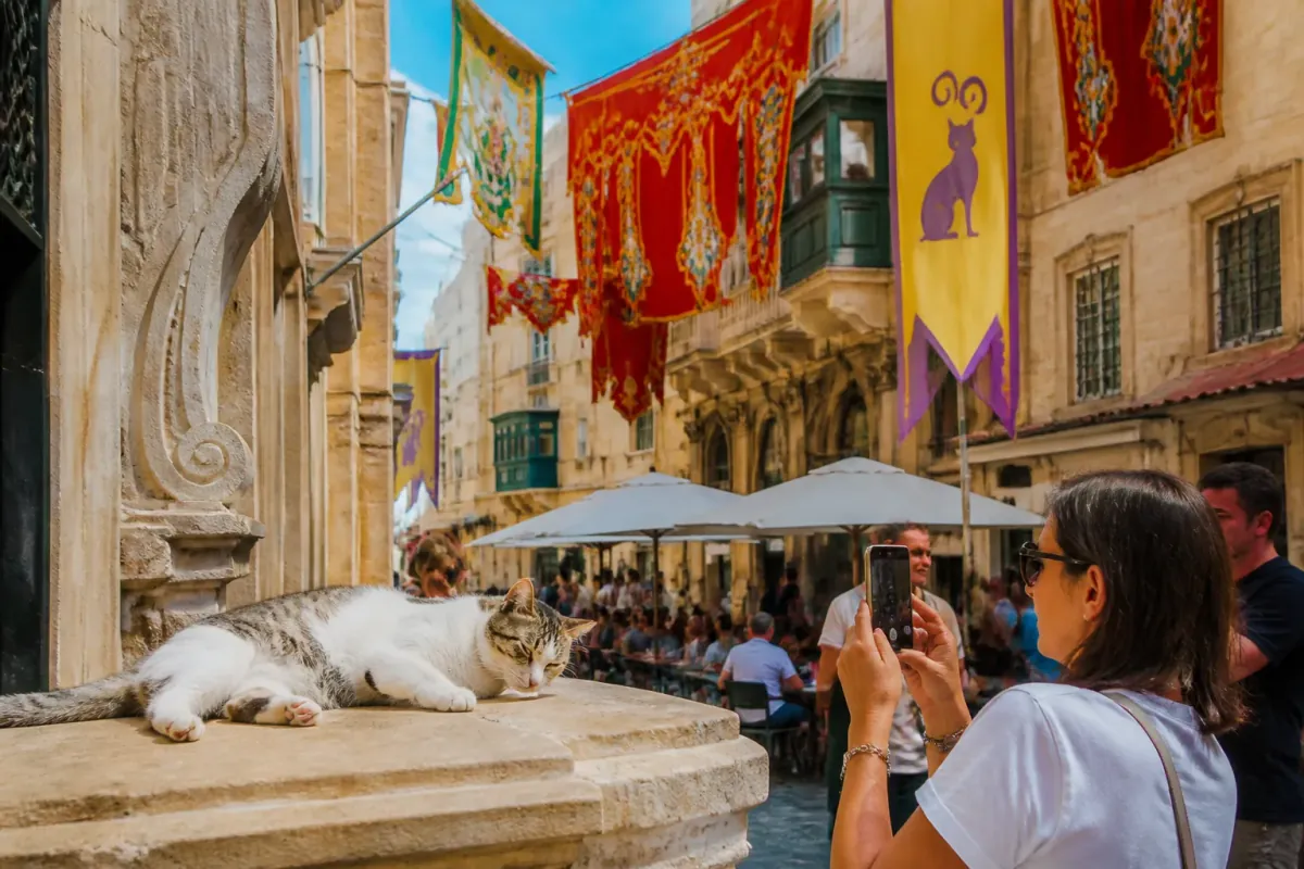 Maltese Government Moves All Public Holidays to Third Tuesday, Cat Influencers Approve