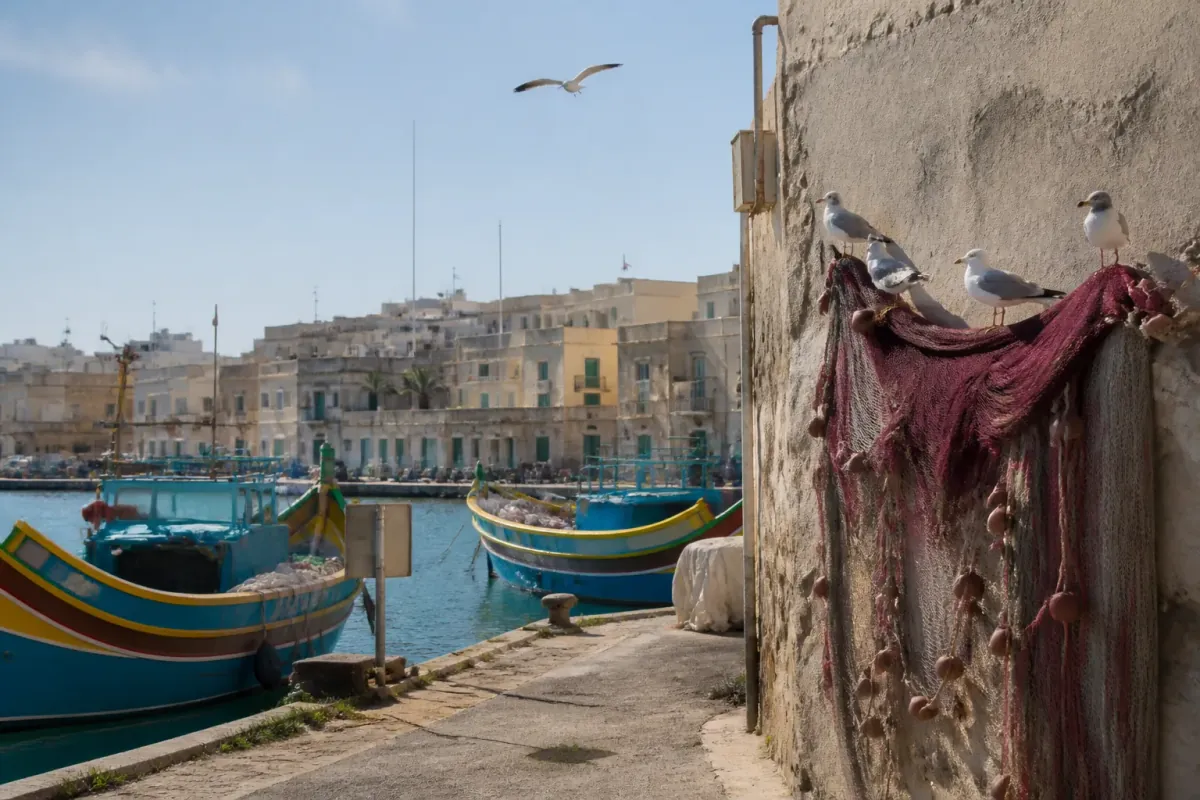 Elderly Fishermen in Marsaxlokk Declare Independence After Seagulls Grant Them Art Rights